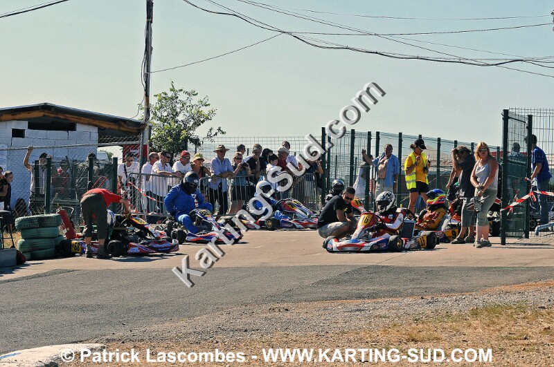 DSC_7195 copie.jpg